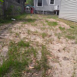 Red Truck Landscaping - Patches of grass 5 weeks after seeding.