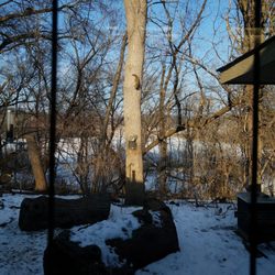 Three Rivers Park District