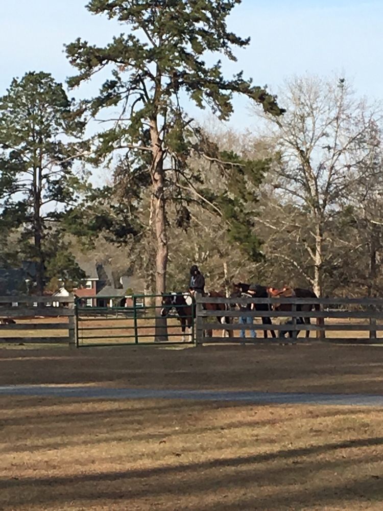 GRACE STABLES Updated May 2024 11 Photos 13235 Laurel Hill Dr