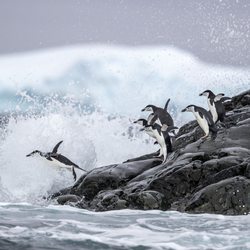 Seize the Seas
