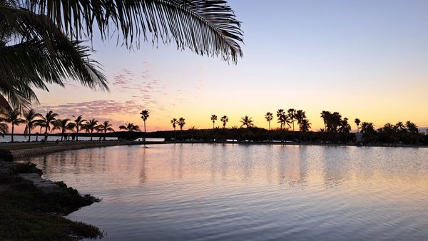 Matheson Hammock Park & Marina by null