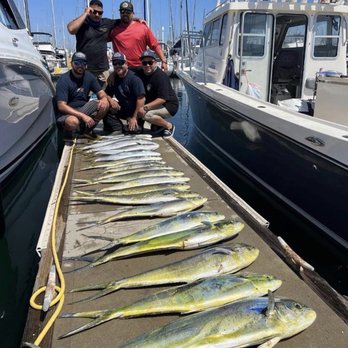 Guardian Charters - These are all different trips with guardian charters - Fishing Near Me - San Diego, California