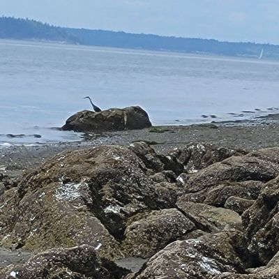 Larrabee State Park by null