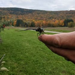 Bartlett's Orchard - Made a friend