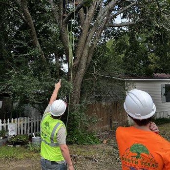 North Texas Tree Experts - Tree Services Near Me - Denison, Texas North Texas Tree Experts - Tree Services Near Me - Denison, Texas