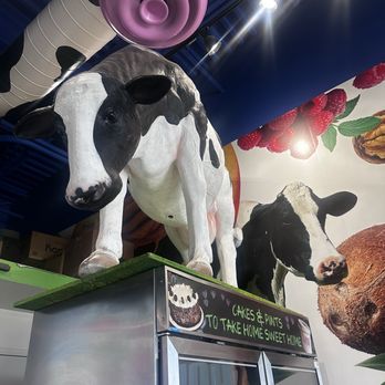 I Love Moo - Juice Bars & Smoothies Near Me - Park City, Utah I Love Moo - Juice Bars & Smoothies Near Me - Park City, Utah