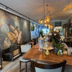 Mountain Vibes Kava Lounge - The inside of the establishment