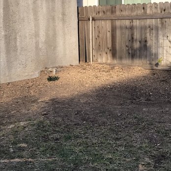Tree Care By Gibson - Tree Services Near Me