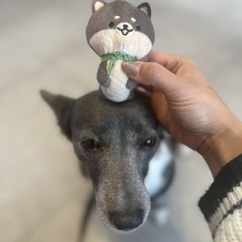 Kung Fu Tea - Lulu and the key chain I won! - Bubble Tea Near Me - Redwood City, California