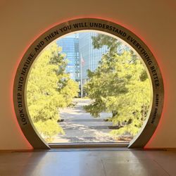 Myriad Botanical Gardens - Window to the outside.