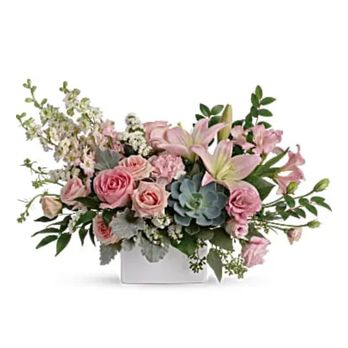 North Star Florist - Site picture - Florists Near Me - Garland, Texas North Star Florist - Site picture - Florists Near Me - Garland, Texas