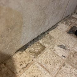 The Grout Guys
