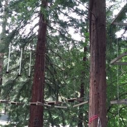 Strawberry Canyon Recreation Area - High-up obstacle course!
