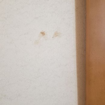 Quality Inn - Feces on the wall? - Hotels Near Me - Grants Pass, Oregon Quality Inn - Feces on the wall? - Hotels Near Me - Grants Pass, Oregon