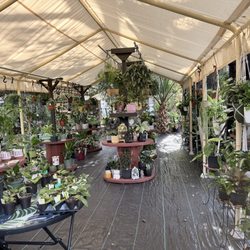 Garage to Garden - Beautiful set up!!