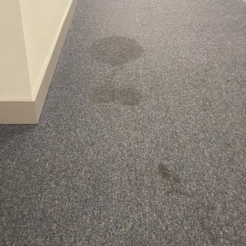 Presidium Regal - Nice stain on hallway to elevator - Apartments Near Me - Jacksonville, Florida Presidium Regal - Nice stain on hallway to elevator - Apartments Near Me - Jacksonville, Florida