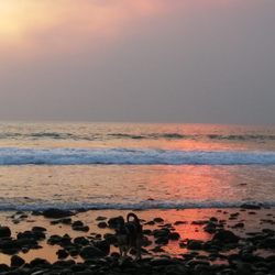 Ancient Aromatics - Beach Walk