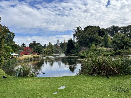 Royal Botanic Gardens Victoria - Melbourne Gardens by null