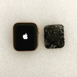 Circle City Phone Repair