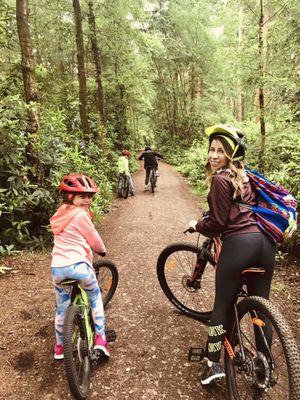 Thetford Forest by null