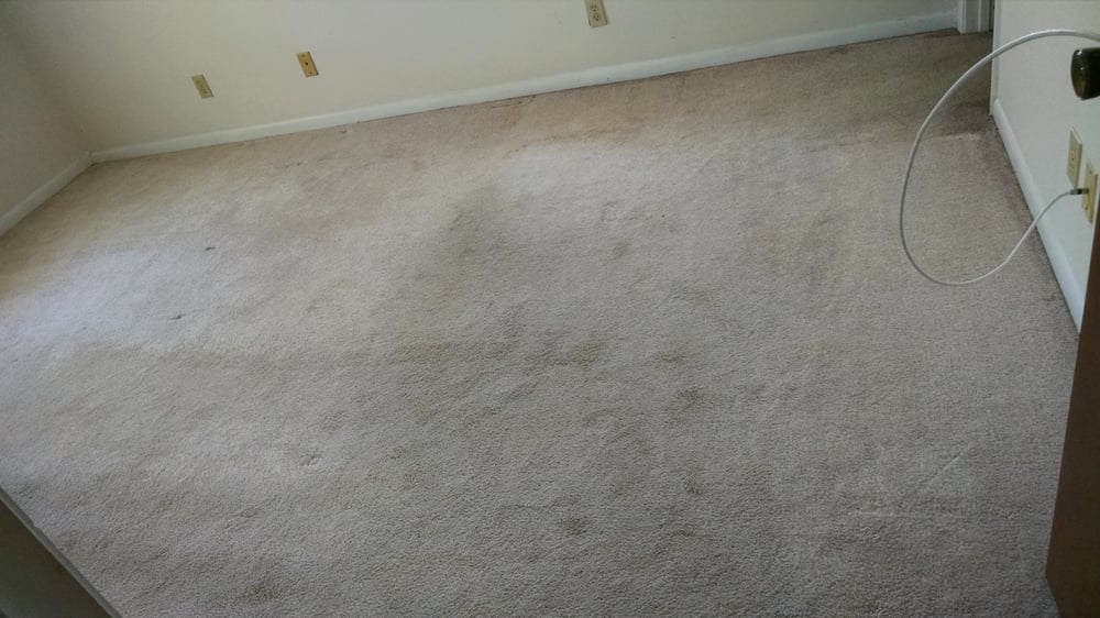 FONTE’S CARPET CLEANING Updated August 2024 33 Photos Winter Haven, Florida Carpet