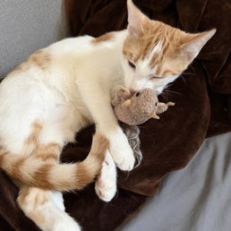 Corazón Corazón