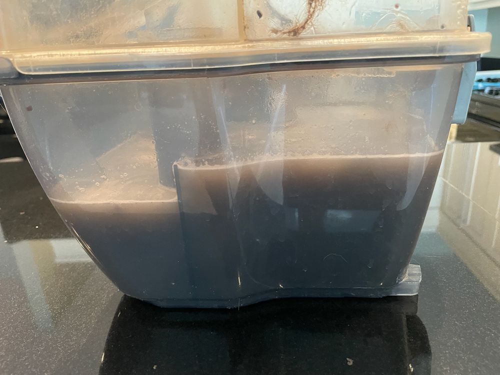 COIT CLEANING AND RESTORATION Updated September 2024 49 Photos & 12