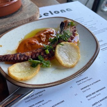 Barcelona Wine Bar - Octopus - Tapas/Small Plates Near Me - Brookline, Massachusetts