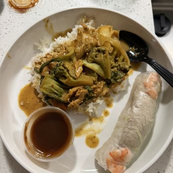 Saigon Noodle and Bistro - Curry chicken and A2. Spring Roll / Chá Giò with the peanut sauce. - Vietnamese Near Me - Orlando, Florida