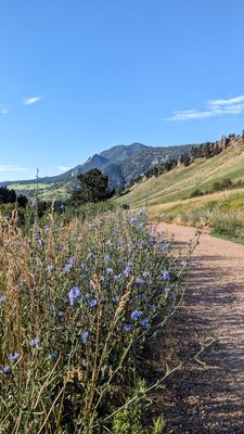 Mount Sanitas Trailhead by null