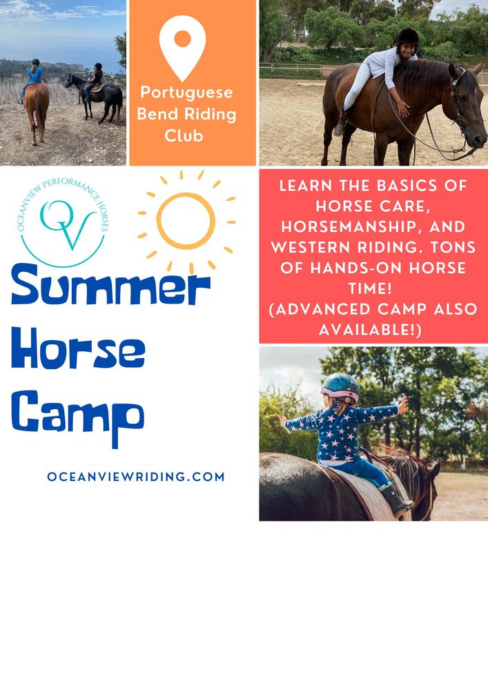 OCEANVIEW PERFORMANCE HORSES Updated April 2024 37 Photos 40 Narcissa Dr, Rancho Palos