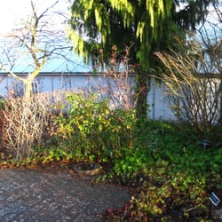 Langeskov Planteskole - Part of the outdoor, walk-thru garden.
