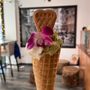 Photo of Serendipity BK