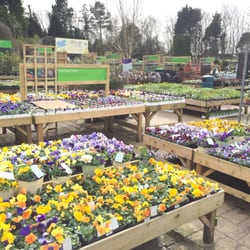 Wyvale Garden Centre - Bolton - Outdoor plants