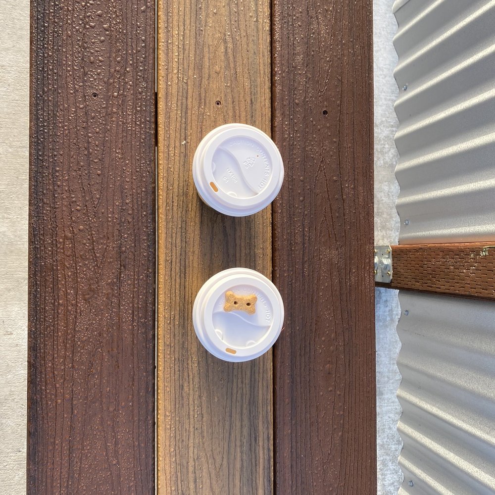 Honeycomb Coffee - 2 lattes and a complimentary dog treat - Coffee & Tea Near Me - Blue Lake, California