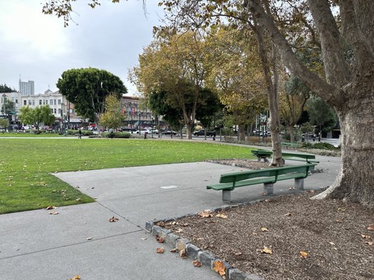 Washington Square by null