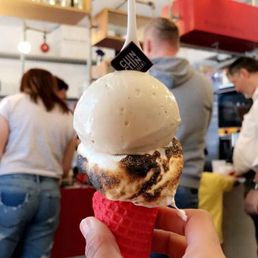 Vegan s'mores and tonka ice cream. Vegan s'mores and tonka ice cream.