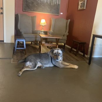 D. Berardinis Winery - Our sommelier Odin - Wine Tasting Room Near Me - Polson, Montana
