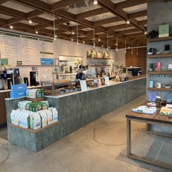 Forecast Coffee - Front counter and menu boards~ (November 2025)
