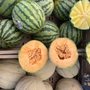 Photo of Pochteca Produce