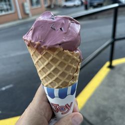 Whit's Frozen Custard - Black raspberry chip
