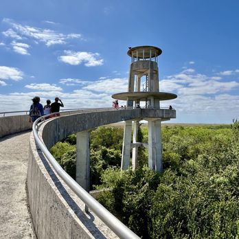 Shark Valley Tram Tours - At the midpoint of tram tours, you take a 20 minute pause to walk to this observation lookout for panoramas of the Everglades. - Tours Near Me - Miami, Florida Shark Valley Tram Tours - At the midpoint of tram tours, you take a 20 minute pause to walk to this observation lookout for panoramas of the Everglades. - Tours Near Me - Miami, Florida