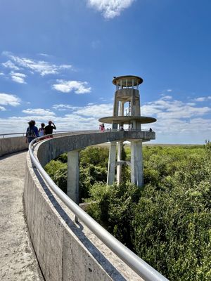 Shark Valley Tram Tours by null