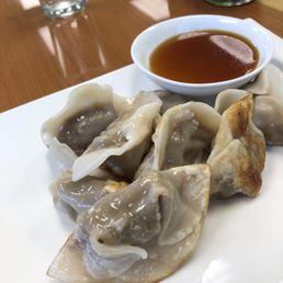 Pan Fried Dumplings