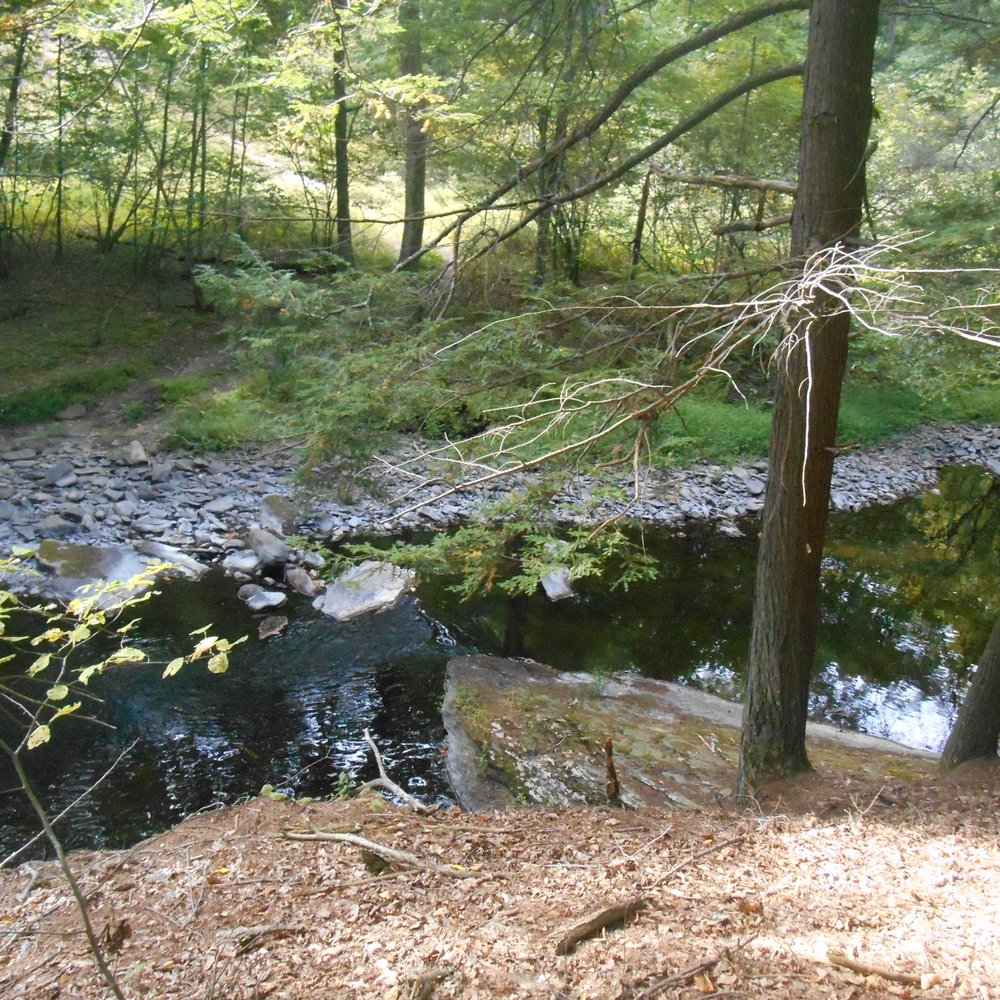 Bushkill Falls - Tours Near Me - Bushkill, Pennsylvania