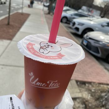 Ume Tea - Bubble Tea Near Me - Chicago, Illinois Ume Tea - Bubble Tea Near Me - Chicago, Illinois