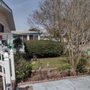Photo of Lewis Brothers Tree Care