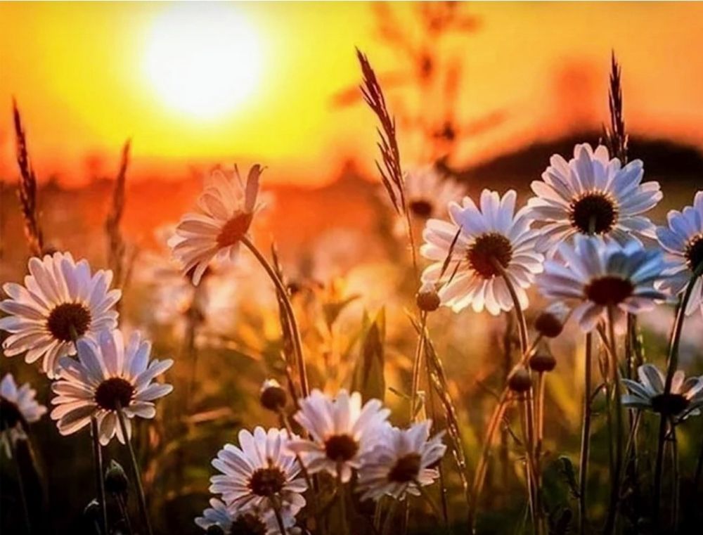 Donna Marie's Down Home Southern - childcare center in Nunn, CO