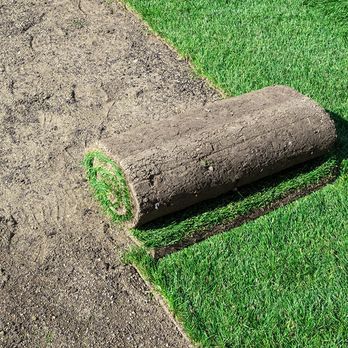 Fantastic Landscape - a roll of turf laying on the ground - Landscaping Near Me Fantastic Landscape - a roll of turf laying on the ground - Landscaping Near Me