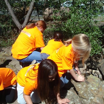 Tender Loving Care Preschool - Preschools Near Me - Denton, Texas Tender Loving Care Preschool - Preschools Near Me - Denton, Texas